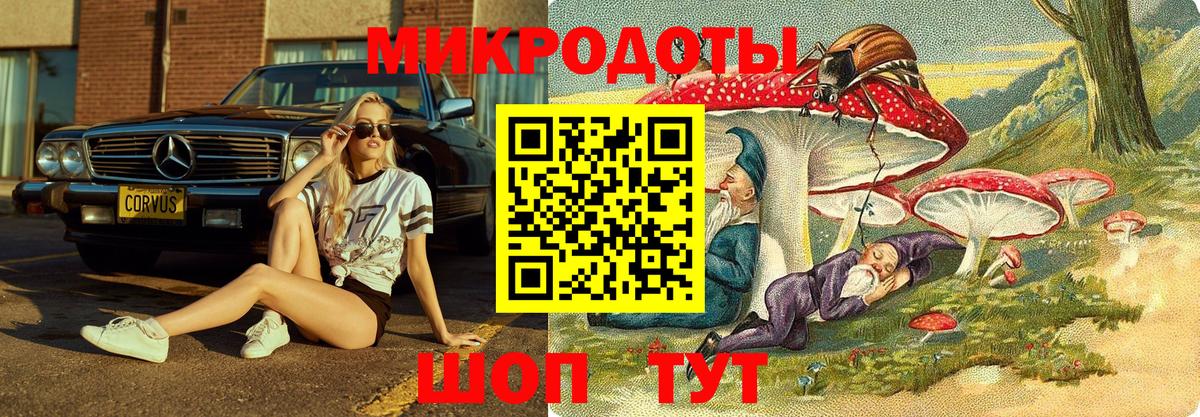 Псилоцибиновые грибы прущие грибы Ростов Великий