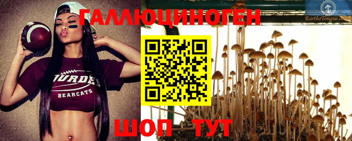 Галлюциногенные грибы GOLDEN TEACHER  Галлюциногенные грибы Magic Shrooms  Вход с VPN  Ростов Великий 